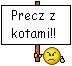 Koty precz